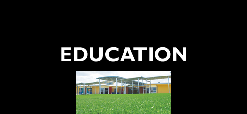 Synthetic turf for education
