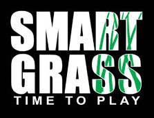 SmartGrass - Time to play